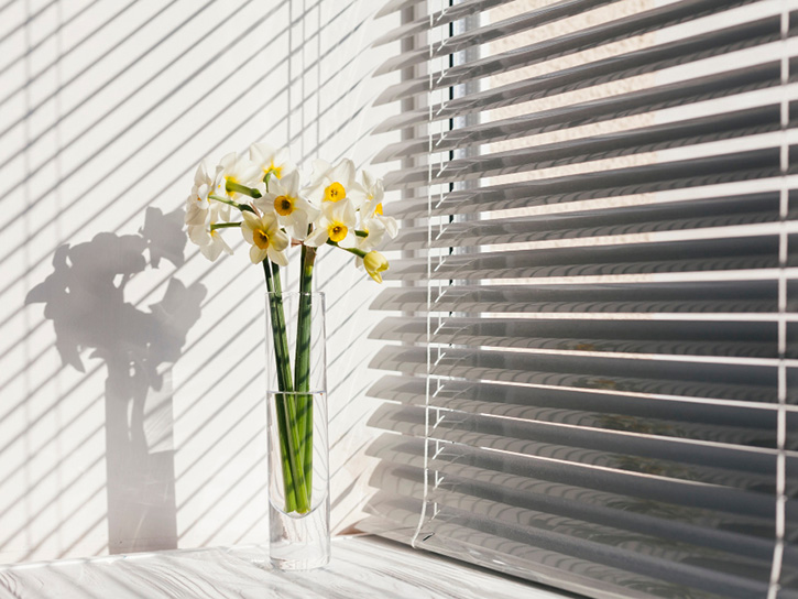 Milenio Office - Persianas